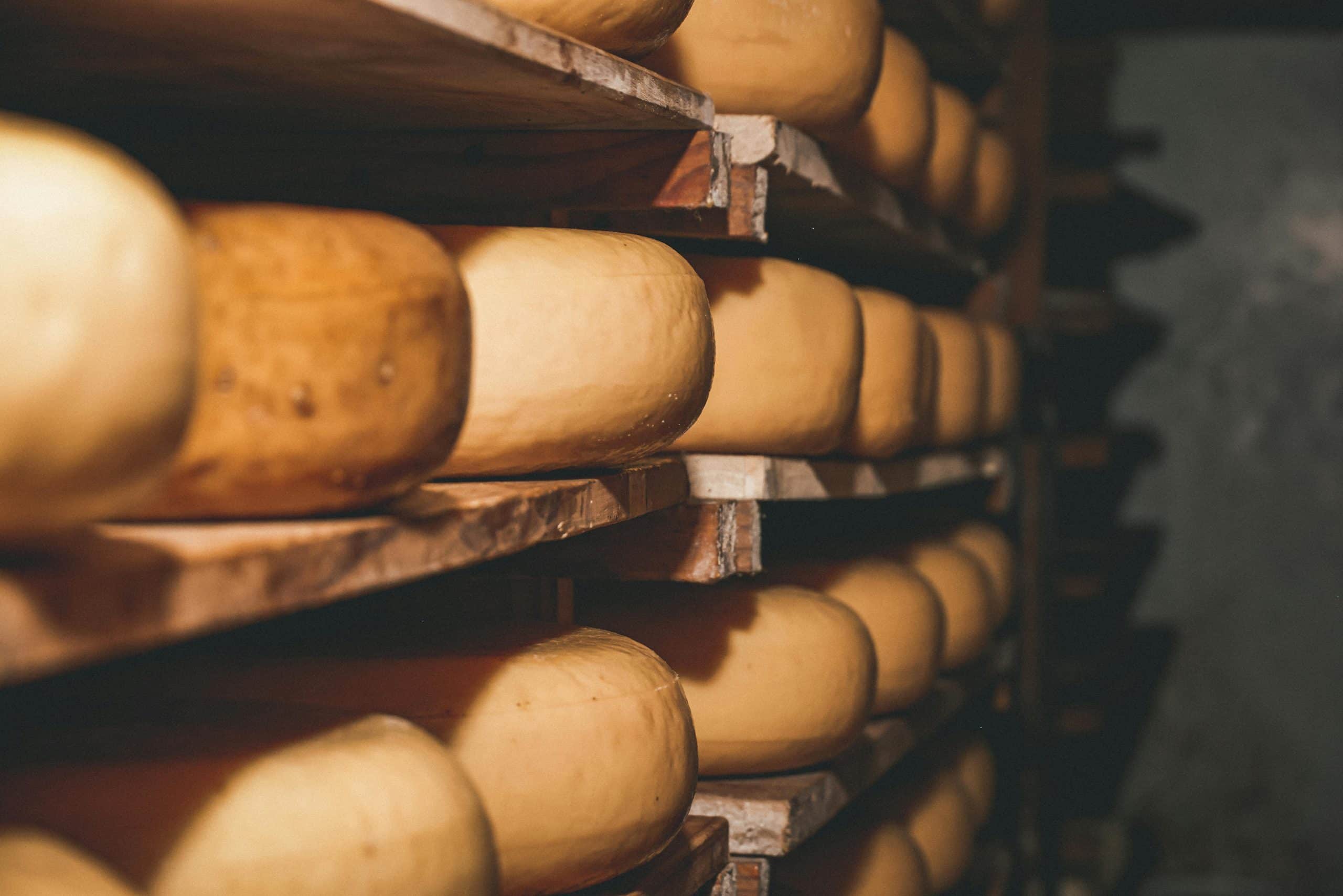 Quel cépage avec une raclette ?