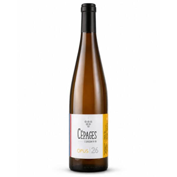OPUS 26 - Pinot gris