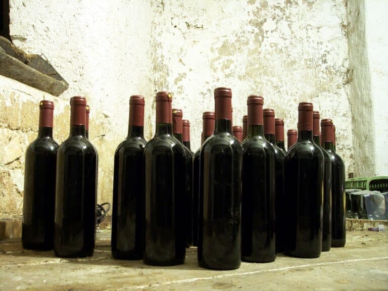 La culture du vin