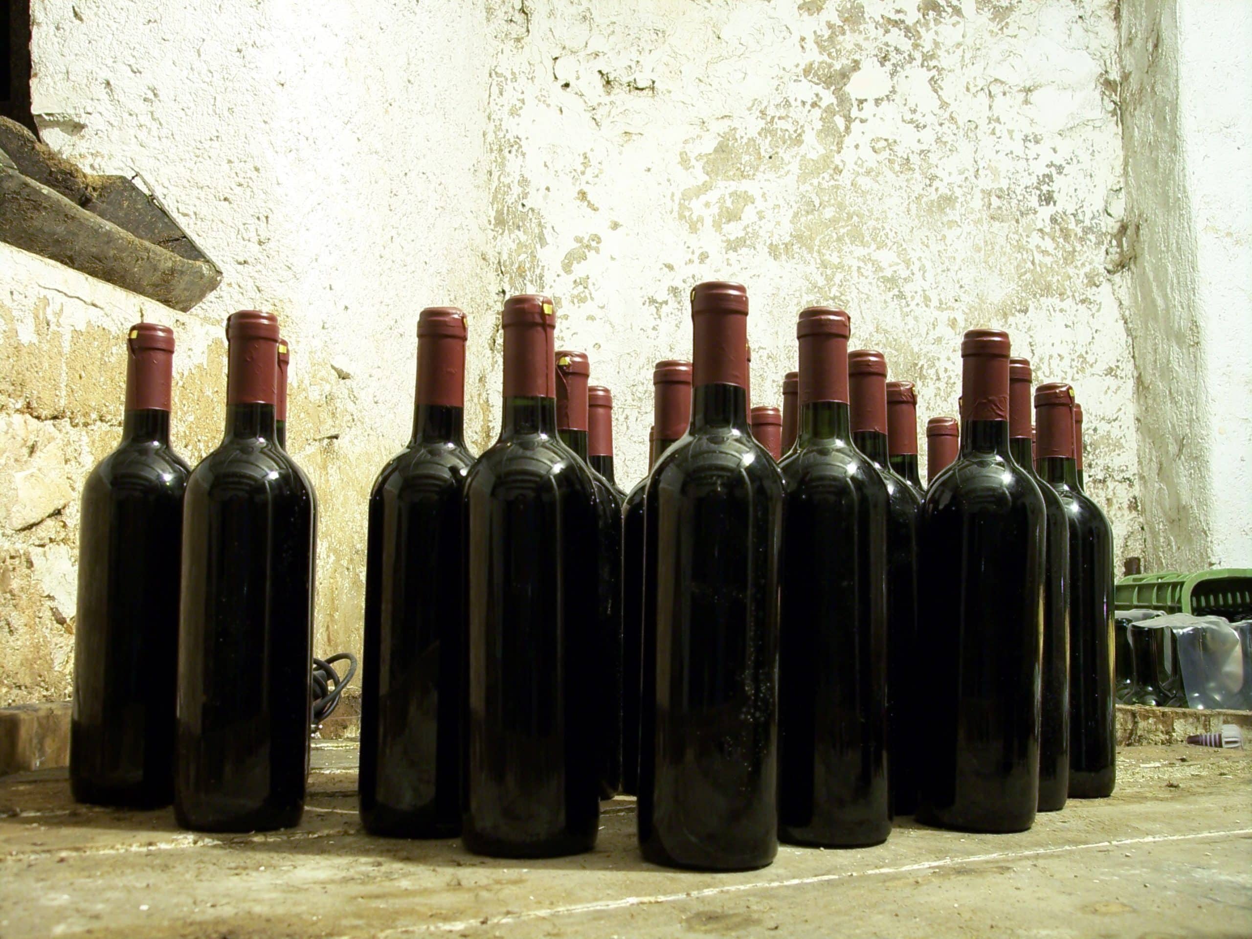 La culture du vin